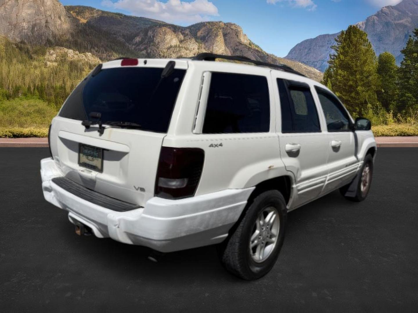 2000 Stone White Clearcoat /Camel Leather Jeep Grand Cherokee (1J4GW58N5YC) with an 47L V8 SOHC 16V engine, Automatic transmission, located at 1175 N Woodruff Ave, Idaho Falls, ID, 83401, 43.506901, -111.999657 - At Timberline Auto, finding a great deal on your next vehicle is always easy! Our experienced sales staff's goal is to help find you the right vehicle at the right price! Our knowledgeable finance department has options for almost any credit score. We offer extended service contract options to prote - Photo#4