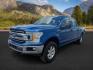 2018 Lightning Blue /Medium Earth Gray Ford F-150 (1FTFW1EG7JF) with an EcoBoost 35L V-6 portdirect injection engine, Automatic transmission, located at 1175 N Woodruff Ave, Idaho Falls, ID, 83401, 43.506901, -111.999657 - At Timberline Auto, finding a great deal on your next vehicle is always easy! Our experienced sales staff's goal is to help find you the right vehicle at the right price! Our knowledgeable finance department has options for almost any credit score. We offer extended service contract options to prote - Photo#0