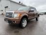 2012 Golden Bronze Metallic /Sienna Ford F-150 Platinum (1FTFW1ET2CF) with an EcoBoost 3.5L V-6 gasoline direct injection engine, AUTOMATIC transmission, located at 1235 N Woodruff Ave., Idaho Falls, 83401, (208) 523-1053, 43.507172, -112.000488 - At Timberline Auto, finding a great deal on your next vehicle is always easy! Our experienced sales staff's goal is to help find you the right vehicle at the right price! Our knowledgeable finance department has options for almost any credit score. We offer extended service contract options to prote - Photo#0