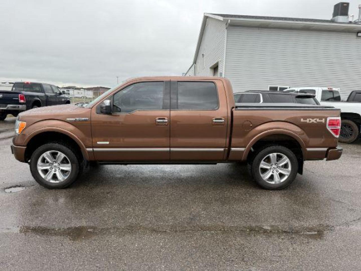 2012 Golden Bronze Metallic /Sienna Ford F-150 Platinum (1FTFW1ET2CF) with an EcoBoost 3.5L V-6 gasoline direct injection engine, AUTOMATIC transmission, located at 1235 N Woodruff Ave., Idaho Falls, 83401, (208) 523-1053, 43.507172, -112.000488 - At Timberline Auto, finding a great deal on your next vehicle is always easy! Our experienced sales staff's goal is to help find you the right vehicle at the right price! Our knowledgeable finance department has options for almost any credit score. We offer extended service contract options to prote - Photo#1