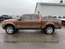 2012 Golden Bronze Metallic /Sienna Ford F-150 Platinum (1FTFW1ET2CF) with an EcoBoost 3.5L V-6 gasoline direct injection engine, AUTOMATIC transmission, located at 1235 N Woodruff Ave., Idaho Falls, 83401, (208) 523-1053, 43.507172, -112.000488 - At Timberline Auto, finding a great deal on your next vehicle is always easy! Our experienced sales staff's goal is to help find you the right vehicle at the right price! Our knowledgeable finance department has options for almost any credit score. We offer extended service contract options to prote - Photo#1