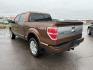 2012 Golden Bronze Metallic /Sienna Ford F-150 Platinum (1FTFW1ET2CF) with an EcoBoost 3.5L V-6 gasoline direct injection engine, AUTOMATIC transmission, located at 1235 N Woodruff Ave., Idaho Falls, 83401, (208) 523-1053, 43.507172, -112.000488 - At Timberline Auto, finding a great deal on your next vehicle is always easy! Our experienced sales staff's goal is to help find you the right vehicle at the right price! Our knowledgeable finance department has options for almost any credit score. We offer extended service contract options to prote - Photo#2