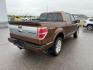 2012 Golden Bronze Metallic /Sienna Ford F-150 Platinum (1FTFW1ET2CF) with an EcoBoost 3.5L V-6 gasoline direct injection engine, AUTOMATIC transmission, located at 1235 N Woodruff Ave., Idaho Falls, 83401, (208) 523-1053, 43.507172, -112.000488 - At Timberline Auto, finding a great deal on your next vehicle is always easy! Our experienced sales staff's goal is to help find you the right vehicle at the right price! Our knowledgeable finance department has options for almost any credit score. We offer extended service contract options to prote - Photo#6