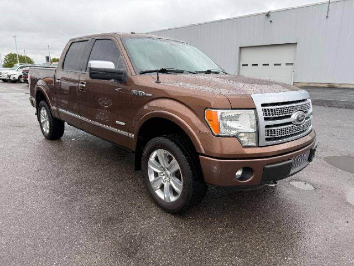 2012 Golden Bronze Metallic /Sienna Ford F-150 Platinum (1FTFW1ET2CF) with an EcoBoost 3.5L V-6 gasoline direct injection engine, AUTOMATIC transmission, located at 1235 N Woodruff Ave., Idaho Falls, 83401, (208) 523-1053, 43.507172, -112.000488 - At Timberline Auto, finding a great deal on your next vehicle is always easy! Our experienced sales staff's goal is to help find you the right vehicle at the right price! Our knowledgeable finance department has options for almost any credit score. We offer extended service contract options to prote - Photo#8
