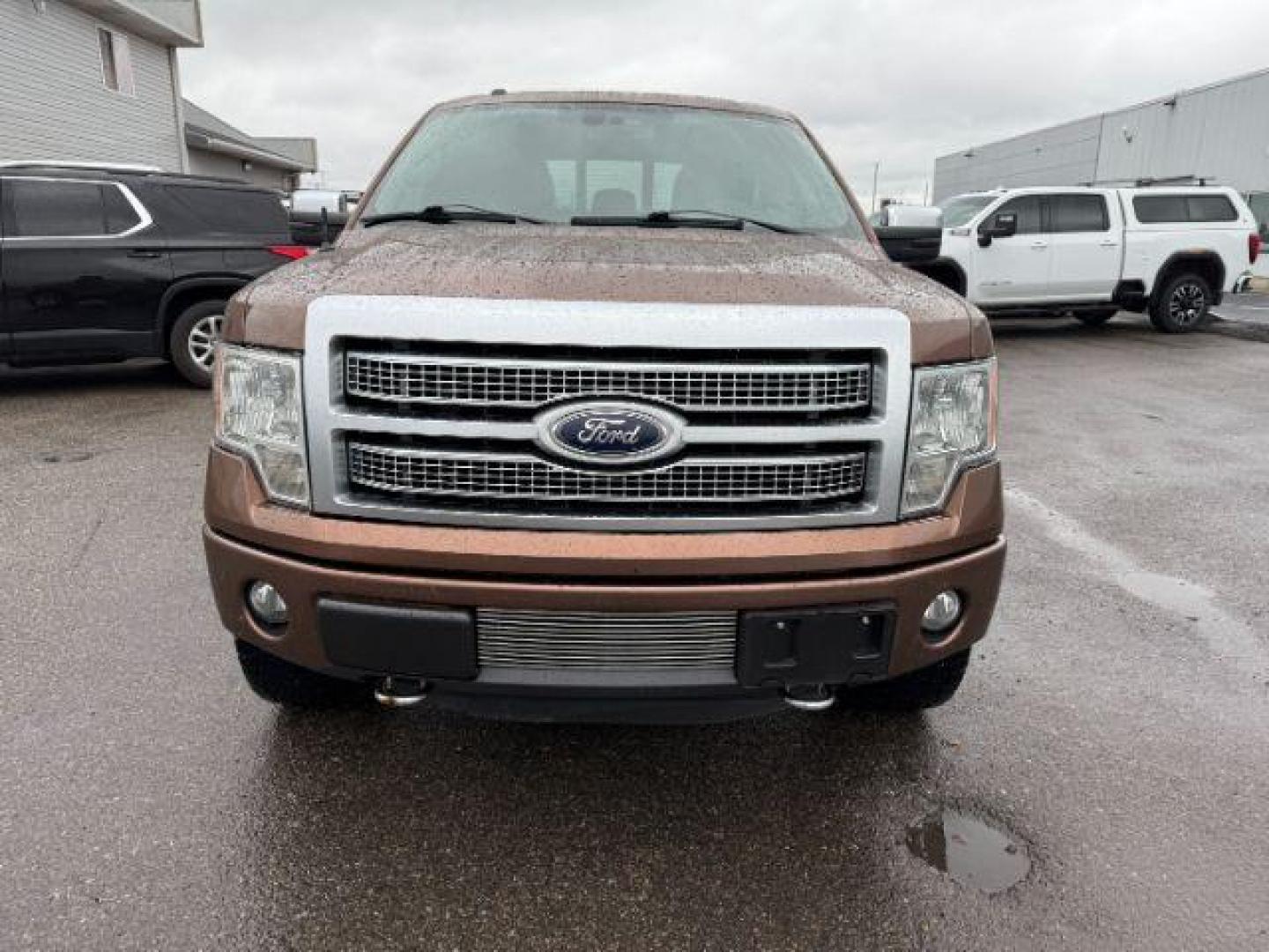 2012 Golden Bronze Metallic /Sienna Ford F-150 Platinum (1FTFW1ET2CF) with an EcoBoost 3.5L V-6 gasoline direct injection engine, AUTOMATIC transmission, located at 1235 N Woodruff Ave., Idaho Falls, 83401, (208) 523-1053, 43.507172, -112.000488 - At Timberline Auto, finding a great deal on your next vehicle is always easy! Our experienced sales staff's goal is to help find you the right vehicle at the right price! Our knowledgeable finance department has options for almost any credit score. We offer extended service contract options to prote - Photo#9