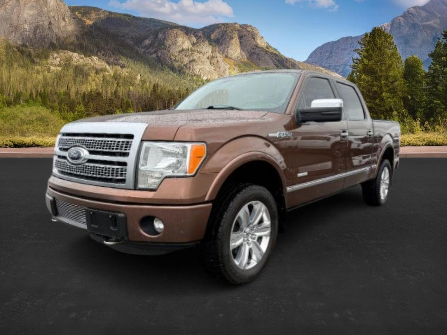 2012 Golden Bronze Metallic /Sienna Ford F-150 (1FTFW1ET2CF) with an EcoBoost 35L V-6 gasoline direct injection engine, Automatic transmission, located at 1175 N Woodruff Ave, Idaho Falls, ID, 83401, 43.506901, -111.999657 - At Timberline Auto, finding a great deal on your next vehicle is always easy! Our experienced sales staff's goal is to help find you the right vehicle at the right price! Our knowledgeable finance department has options for almost any credit score. We offer extended service contract options to prote - Photo#0