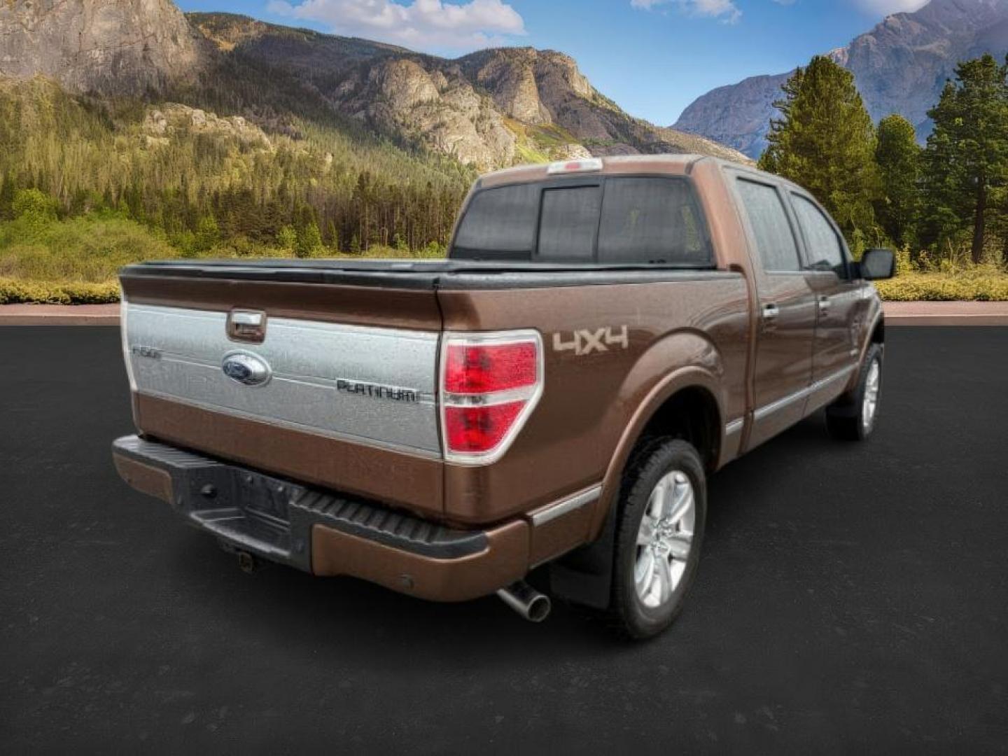2012 Golden Bronze Metallic /Sienna Ford F-150 (1FTFW1ET2CF) with an EcoBoost 35L V-6 gasoline direct injection engine, Automatic transmission, located at 1175 N Woodruff Ave, Idaho Falls, ID, 83401, 43.506901, -111.999657 - At Timberline Auto, finding a great deal on your next vehicle is always easy! Our experienced sales staff's goal is to help find you the right vehicle at the right price! Our knowledgeable finance department has options for almost any credit score. We offer extended service contract options to prote - Photo#6
