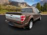 2012 Golden Bronze Metallic /Sienna Ford F-150 (1FTFW1ET2CF) with an EcoBoost 35L V-6 gasoline direct injection engine, Automatic transmission, located at 1175 N Woodruff Ave, Idaho Falls, ID, 83401, 43.506901, -111.999657 - At Timberline Auto, finding a great deal on your next vehicle is always easy! Our experienced sales staff's goal is to help find you the right vehicle at the right price! Our knowledgeable finance department has options for almost any credit score. We offer extended service contract options to prote - Photo#6