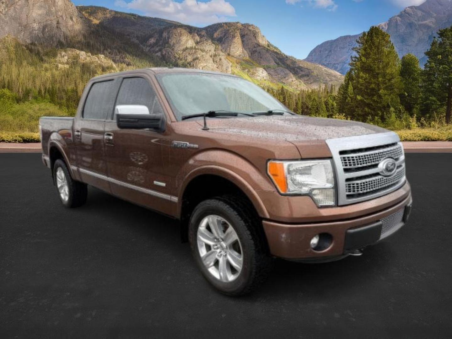2012 Golden Bronze Metallic /Sienna Ford F-150 (1FTFW1ET2CF) with an EcoBoost 35L V-6 gasoline direct injection engine, Automatic transmission, located at 1175 N Woodruff Ave, Idaho Falls, ID, 83401, 43.506901, -111.999657 - At Timberline Auto, finding a great deal on your next vehicle is always easy! Our experienced sales staff's goal is to help find you the right vehicle at the right price! Our knowledgeable finance department has options for almost any credit score. We offer extended service contract options to prote - Photo#8