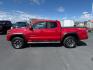 2021 Barcelona Red Metallic /Black/Gun Metal Toyota Tacoma 4WD TRD Off Road (3TMCZ5AN1MM) with an 3.5L V-6 port/direct injection engine, AUTOMATIC transmission, located at 1235 N Woodruff Ave., Idaho Falls, 83401, (208) 523-1053, 43.507172, -112.000488 - At Timberline Auto, finding a great deal on your next vehicle is always easy! Our experienced sales staff's goal is to help find you the right vehicle at the right price! Our knowledgeable finance department has options for almost any credit score. We offer extended service contract options to prote - Photo#1