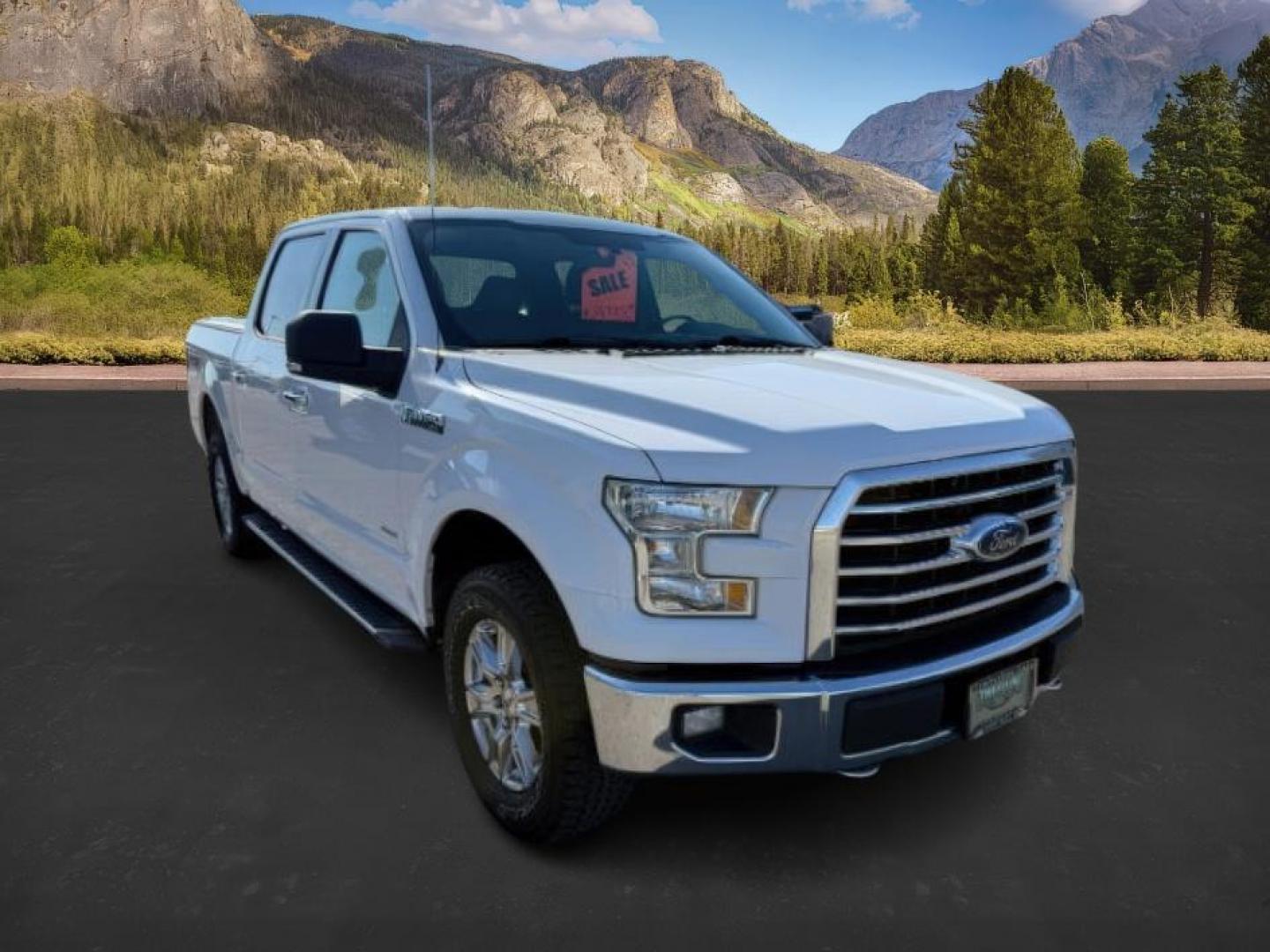 2016 Oxford White /GREY CLOTH Ford F-150 (1FTEW1EG9GK) with an 35 engine, Automatic transmission, located at 1175 N Woodruff Ave, Idaho Falls, ID, 83401, 43.506901, -111.999657 - At Timberline Auto, finding a great deal on your next vehicle is always easy! Our experienced sales staff's goal is to help find you the right vehicle at the right price! Our knowledgeable finance department has options for almost any credit score. We offer extended service contract options to prote - Photo#4