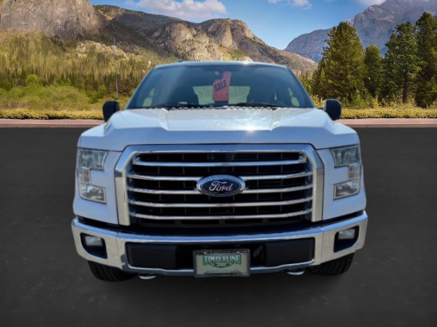 2016 Oxford White /GREY CLOTH Ford F-150 (1FTEW1EG9GK) with an 35 engine, Automatic transmission, located at 1175 N Woodruff Ave, Idaho Falls, ID, 83401, 43.506901, -111.999657 - At Timberline Auto, finding a great deal on your next vehicle is always easy! Our experienced sales staff's goal is to help find you the right vehicle at the right price! Our knowledgeable finance department has options for almost any credit score. We offer extended service contract options to prote - Photo#5
