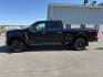 2024 Agate Black Metallic /Black Onyx Ford F-350 Platinum (1FT8W3BT7RE) with an Powerstroke 6.7L V-8 diesel direct injection engine, AUTOMATIC transmission, located at 1235 N Woodruff Ave., Idaho Falls, 83401, (208) 523-1053, 43.507172, -112.000488 - Photo#1