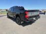 2024 Agate Black Metallic /Black Onyx Ford F-350 Platinum (1FT8W3BT7RE) with an Powerstroke 6.7L V-8 diesel direct injection engine, AUTOMATIC transmission, located at 1235 N Woodruff Ave., Idaho Falls, 83401, (208) 523-1053, 43.507172, -112.000488 - Photo#2