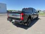 2024 Agate Black Metallic /Black Onyx Ford F-350 Platinum (1FT8W3BT7RE) with an Powerstroke 6.7L V-8 diesel direct injection engine, AUTOMATIC transmission, located at 1235 N Woodruff Ave., Idaho Falls, 83401, (208) 523-1053, 43.507172, -112.000488 - Photo#6