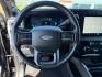 2024 Agate Black Metallic /Black Onyx Ford F-350 Platinum (1FT8W3BT7RE) with an Powerstroke 6.7L V-8 diesel direct injection engine, AUTOMATIC transmission, located at 1235 N Woodruff Ave., Idaho Falls, 83401, (208) 523-1053, 43.507172, -112.000488 - Photo#14