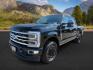 2024 Agate Black Metallic /Black Onyx Ford F-350 Platinum (1FT8W3BT7RE) with an Powerstroke 6.7L V-8 diesel direct injection engine, AUTOMATIC transmission, located at 1235 N Woodruff Ave., Idaho Falls, 83401, (208) 523-1053, 43.507172, -112.000488 - At Timberline Auto, finding a great deal on your next vehicle is always easy! Our experienced sales staff's goal is to help find you the right vehicle at the right price! Our knowledgeable finance department has options for almost any credit score. We offer extended service contract options to prote - Photo#0