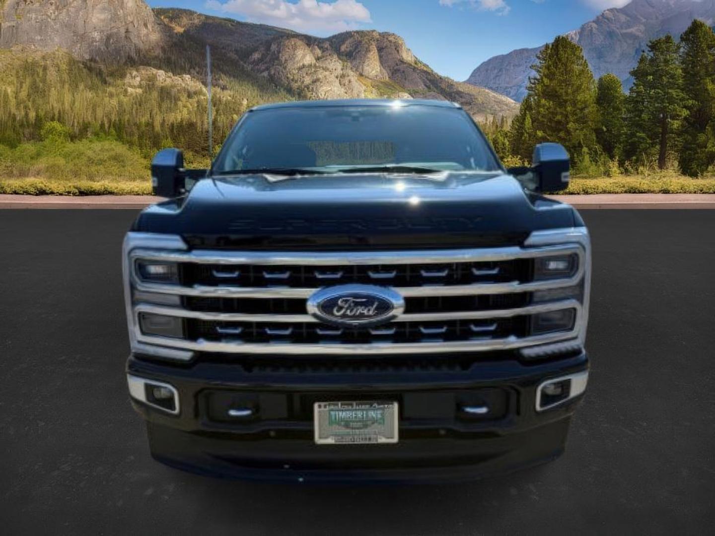 2024 Agate Black Metallic /Black Onyx Ford F-350 Platinum (1FT8W3BT7RE) with an Powerstroke 6.7L V-8 diesel direct injection engine, AUTOMATIC transmission, located at 1235 N Woodruff Ave., Idaho Falls, 83401, (208) 523-1053, 43.507172, -112.000488 - At Timberline Auto, finding a great deal on your next vehicle is always easy! Our experienced sales staff's goal is to help find you the right vehicle at the right price! Our knowledgeable finance department has options for almost any credit score. We offer extended service contract options to prote - Photo#9