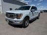 2021 WHITE /BLACK Ford F-150 LARIAT (1FTFW1E80MK) with an 3.5L engine, AUTOMATIC transmission, located at 1235 N Woodruff Ave., Idaho Falls, 83401, (208) 523-1053, 43.507172, -112.000488 - At Timberline Auto, finding a great deal on your next vehicle is always easy! Our experienced sales staff's goal is to help find you the right vehicle at the right price! Our knowledgeable finance department has options for almost any credit score. We offer extended service contract options to prote - Photo#0
