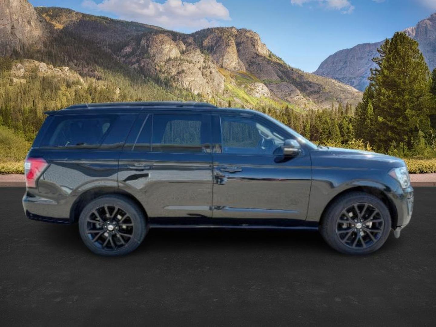 2019 BLACK /LEATHER Ford Expedition (1FMJU1MT0KE) with an 35L V6 DOHC 24V FFV engine, Automatic transmission, located at 1175 N Woodruff Ave, Idaho Falls, ID, 83401, 43.506901, -111.999657 - At Timberline Auto, finding a great deal on your next vehicle is always easy! Our experienced sales staff's goal is to help find you the right vehicle at the right price! Our knowledgeable finance department has options for almost any credit score. We offer extended service contract options to prote - Photo#11