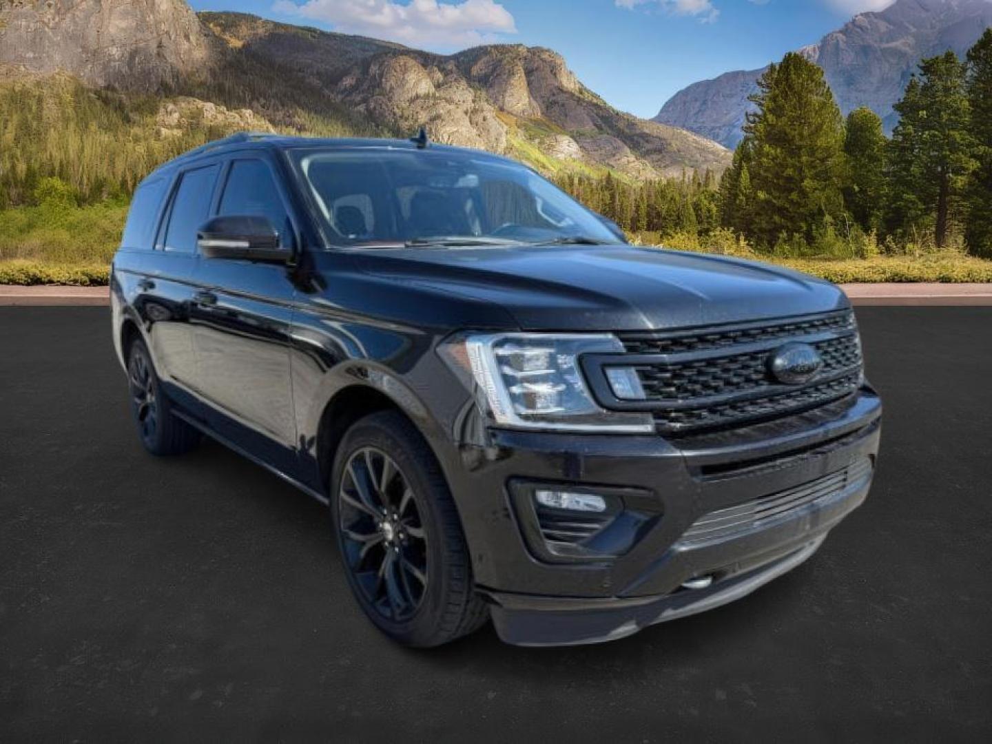 2019 BLACK /LEATHER Ford Expedition (1FMJU1MT0KE) with an 35L V6 DOHC 24V FFV engine, Automatic transmission, located at 1175 N Woodruff Ave, Idaho Falls, ID, 83401, 43.506901, -111.999657 - At Timberline Auto, finding a great deal on your next vehicle is always easy! Our experienced sales staff's goal is to help find you the right vehicle at the right price! Our knowledgeable finance department has options for almost any credit score. We offer extended service contract options to prote - Photo#12