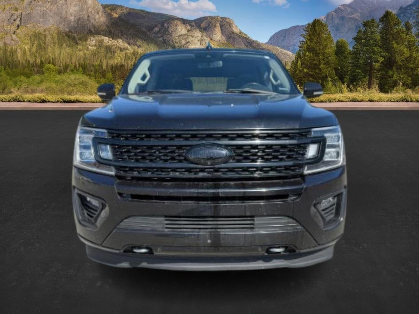 2019 BLACK /LEATHER Ford Expedition (1FMJU1MT0KE) with an 35L V6 DOHC 24V FFV engine, Automatic transmission, located at 1175 N Woodruff Ave, Idaho Falls, ID, 83401, 43.506901, -111.999657 - At Timberline Auto, finding a great deal on your next vehicle is always easy! Our experienced sales staff's goal is to help find you the right vehicle at the right price! Our knowledgeable finance department has options for almost any credit score. We offer extended service contract options to prote - Photo#13