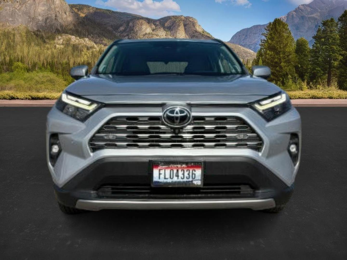 2022 Silver Sky Metallic /Black Toyota RAV4 (2T3N1RFV8NW) with an Dynamic Force 25L I-4 portdirect injection engine, Automatic transmission, located at 1175 N Woodruff Ave, Idaho Falls, ID, 83401, 43.506901, -111.999657 - At Timberline Auto, finding a great deal on your next vehicle is always easy! Our experienced sales staff's goal is to help find you the right vehicle at the right price! Our knowledgeable finance department has options for almost any credit score. We offer extended service contract options to prote - Photo#9