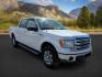 2013 Oxford White /Black Ford F-150 (1FTFW1ET3DK) with an EcoBoost 35L V-6 gasoline direct injection engine, Automatic transmission, located at 1175 N Woodruff Ave, Idaho Falls, ID, 83401, 43.506901, -111.999657 - At Timberline Auto, finding a great deal on your next vehicle is always easy! Our experienced sales staff's goal is to help find you the right vehicle at the right price! Our knowledgeable finance department has options for almost any credit score. We offer extended service contract options to prote - Photo#7