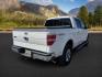 2013 Oxford White /Black Ford F-150 (1FTFW1ET3DK) with an EcoBoost 35L V-6 gasoline direct injection engine, Automatic transmission, located at 1175 N Woodruff Ave, Idaho Falls, ID, 83401, 43.506901, -111.999657 - At Timberline Auto, finding a great deal on your next vehicle is always easy! Our experienced sales staff's goal is to help find you the right vehicle at the right price! Our knowledgeable finance department has options for almost any credit score. We offer extended service contract options to prote - Photo#5