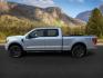 2023 Iconic Silver Metallic /Black w/Medium Dark Slate Ford F-150 (1FTFW1E88PF) with an 35L V-6 portdirect injection engine, Automatic transmission, located at 1175 N Woodruff Ave, Idaho Falls, ID, 83401, 43.506901, -111.999657 - At Timberline Auto, finding a great deal on your next vehicle is always easy! Our experienced sales staff's goal is to help find you the right vehicle at the right price! Our knowledgeable finance department has options for almost any credit score. We offer extended service contract options to prote - Photo#1