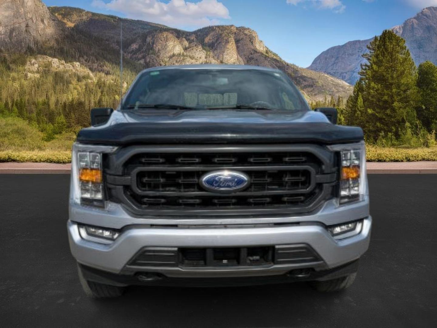 2023 Iconic Silver Metallic /Black w/Medium Dark Slate Ford F-150 (1FTFW1E88PF) with an 35L V-6 portdirect injection engine, Automatic transmission, located at 1175 N Woodruff Ave, Idaho Falls, ID, 83401, 43.506901, -111.999657 - At Timberline Auto, finding a great deal on your next vehicle is always easy! Our experienced sales staff's goal is to help find you the right vehicle at the right price! Our knowledgeable finance department has options for almost any credit score. We offer extended service contract options to prote - Photo#9