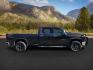 2020 BLACK /LEATHER Chevrolet Silverado 2500HD (1GC4YPEY3LF) with an 66 engine, Automatic transmission, located at 1175 N Woodruff Ave, Idaho Falls, ID, 83401, 43.506901, -111.999657 - At Timberline Auto, finding a great deal on your next vehicle is always easy! Our experienced sales staff's goal is to help find you the right vehicle at the right price! Our knowledgeable finance department has options for almost any credit score. We offer extended service contract options to prote - Photo#4