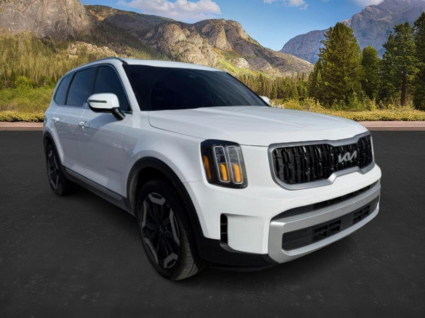 2024 Glacial White Pearl /Black Kia Telluride EX (5XYP3DGCXRG) with an LAMBDA II 3.8L V-6 gasoline direct injection engine, AUTOMATIC transmission, located at 1235 N Woodruff Ave., Idaho Falls, 83401, (208) 523-1053, 43.507172, -112.000488 - At Timberline Auto, finding a great deal on your next vehicle is always easy! Our experienced sales staff's goal is to help find you the right vehicle at the right price! Our knowledgeable finance department has options for almost any credit score. We offer extended service contract options to prote - Photo#9