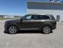 2022 BROWN /Brown Kia Telluride SX (5XYP5DHC8NG) with an LAMBDA II 3.8L V-6 gasoline direct injection engine, AUTOMATIC transmission, located at 1235 N Woodruff Ave., Idaho Falls, 83401, (208) 523-1053, 43.507172, -112.000488 - At Timberline Auto, finding a great deal on your next vehicle is always easy! Our experienced sales staff's goal is to help find you the right vehicle at the right price! Our knowledgeable finance department has options for almost any credit score. We offer extended service contract options to prote - Photo#0