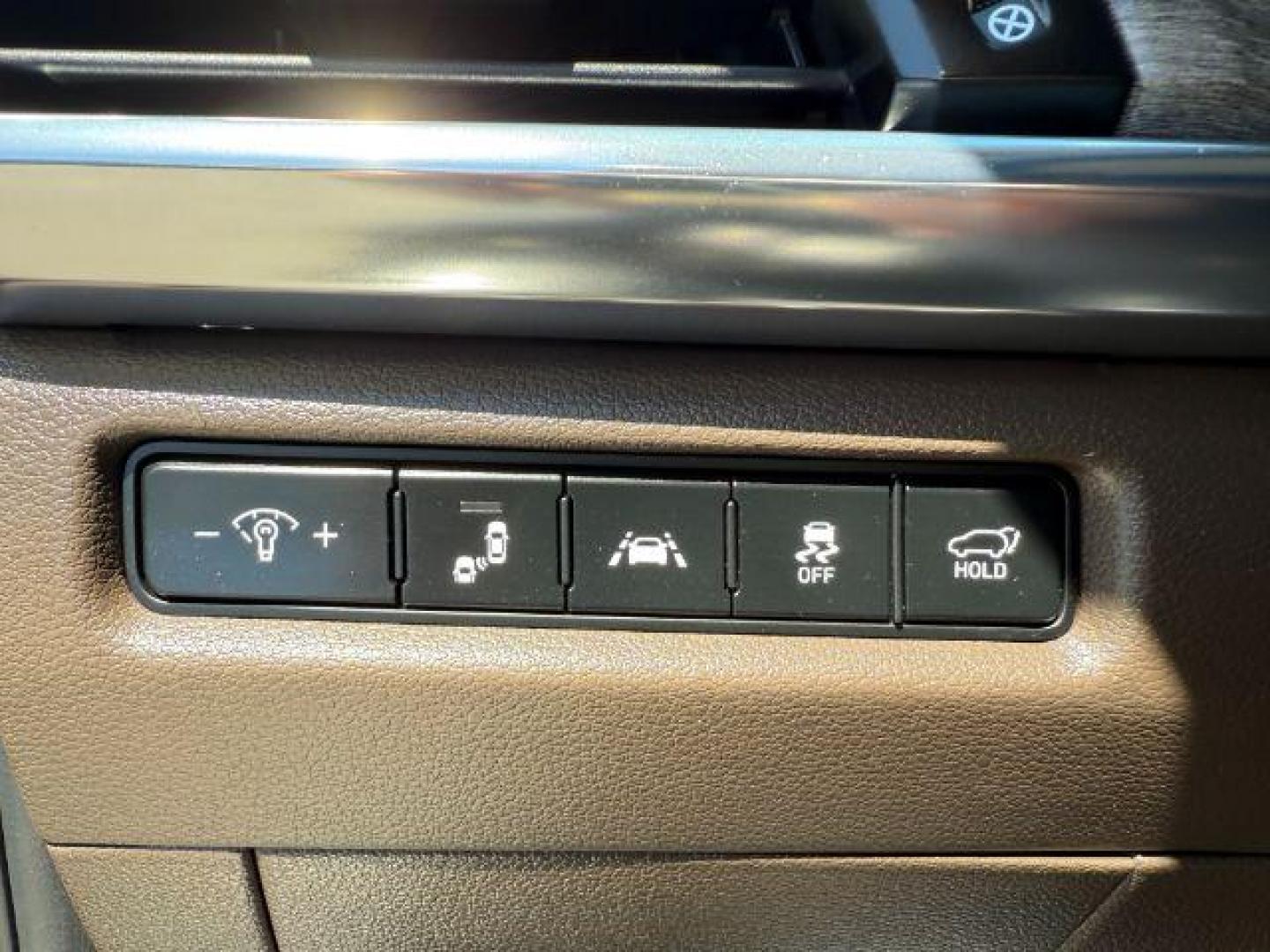 2022 BROWN /Brown Kia Telluride SX (5XYP5DHC8NG) with an LAMBDA II 3.8L V-6 gasoline direct injection engine, AUTOMATIC transmission, located at 1235 N Woodruff Ave., Idaho Falls, 83401, (208) 523-1053, 43.507172, -112.000488 - Photo#21