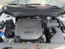 2022 Glacial White Pearl /Black KIA Telluride (5XYP5DHC8NG) with an LAMBDA II 38L V-6 gasoline direct injection engine, Automatic transmission, located at 1175 N Woodruff Ave, Idaho Falls, ID, 83401, 43.506901, -111.999657 - At Timberline Auto, finding a great deal on your next vehicle is always easy! Our experienced sales staff's goal is to help find you the right vehicle at the right price! Our knowledgeable finance department has options for almost any credit score. We offer extended service contract options to prote - Photo#55