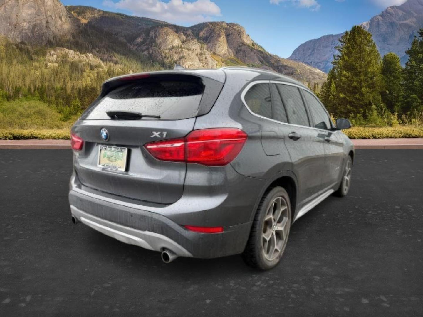 2016 BLACK /Black BMW X1 xDrive28i (WBXHT3C3XG5) with an 2L I-4 gasoline direct injection engine, AUTOMATIC transmission, located at 1235 N Woodruff Ave., Idaho Falls, 83401, (208) 523-1053, 43.507172, -112.000488 - At Timberline Auto, finding a great deal on your next vehicle is always easy! Our experienced sales staff's goal is to help find you the right vehicle at the right price! Our knowledgeable finance department has options for almost any credit score. We offer extended service contract options to prote - Photo#8