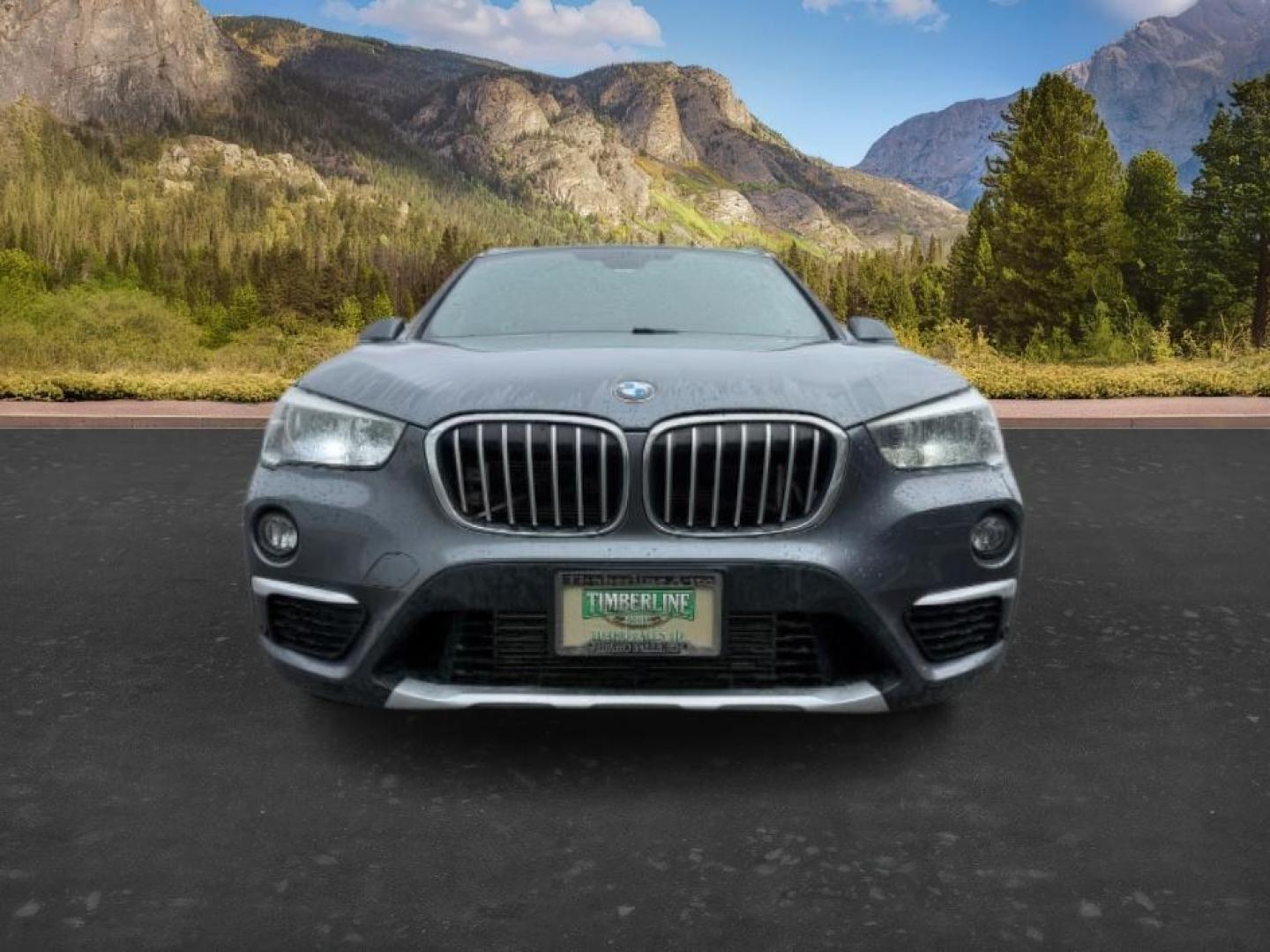 2016 BLACK /Black BMW X1 xDrive28i (WBXHT3C3XG5) with an 2L I-4 gasoline direct injection engine, AUTOMATIC transmission, located at 1235 N Woodruff Ave., Idaho Falls, 83401, (208) 523-1053, 43.507172, -112.000488 - At Timberline Auto, finding a great deal on your next vehicle is always easy! Our experienced sales staff's goal is to help find you the right vehicle at the right price! Our knowledgeable finance department has options for almost any credit score. We offer extended service contract options to prote - Photo#11