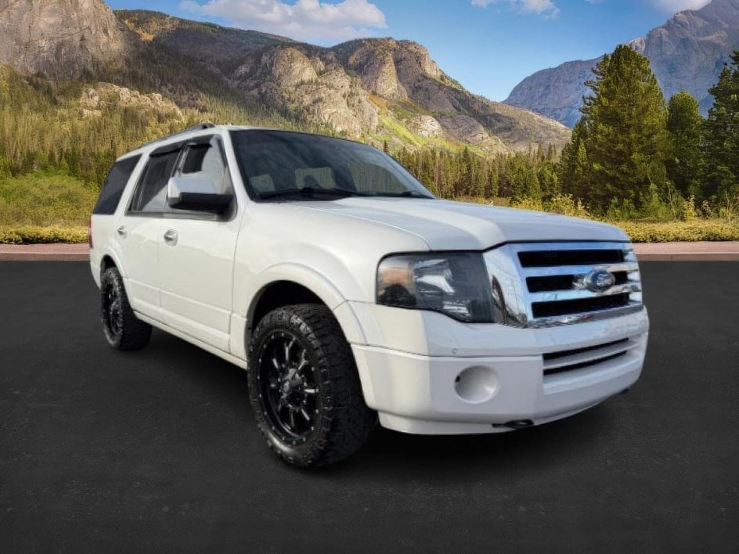 2012 WHITE /CLOTH Ford Expedition (1FMJU2A59CE) with an 54L engine, Automatic transmission, located at 1175 N Woodruff Ave, Idaho Falls, ID, 83401, 43.506901, -111.999657 - At Timberline Auto, finding a great deal on your next vehicle is always easy! Our experienced sales staff's goal is to help find you the right vehicle at the right price! Our knowledgeable finance department has options for almost any credit score. We offer extended service contract options to prote - Photo#8