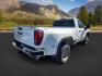2023 Summit White /Jet Black GMC Sierra 3500HD (1GT39SEY2PF) with an Duramax 66L V-8 diesel direct injection engine, Automatic transmission, located at 1175 N Woodruff Ave, Idaho Falls, ID, 83401, 43.506901, -111.999657 - At Timberline Auto, finding a great deal on your next vehicle is always easy! Our experienced sales staff's goal is to help find you the right vehicle at the right price! Our knowledgeable finance department has options for almost any credit score. We offer extended service contract options to prote - Photo#5
