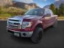 2014 Ruby Red Metallic Tinted Clearcoat /Steel Gray Ford F-150 (1FTFW1ET5EK) with an EcoBoost 35L V-6 gasoline direct injection engine, Automatic transmission, located at 1175 N Woodruff Ave, Idaho Falls, ID, 83401, 43.506901, -111.999657 - At Timberline Auto, finding a great deal on your next vehicle is always easy! Our experienced sales staff's goal is to help find you the right vehicle at the right price! Our knowledgeable finance department has options for almost any credit score. We offer extended service contract options to prote - Photo#0