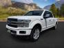 2020 Star White Metallic Tri-Coat /Black Ford F-150 (1FTFW1E48LF) with an EcoBoost 35L V-6 portdirect injection engine, Automatic transmission, located at 1175 N Woodruff Ave, Idaho Falls, ID, 83401, 43.506901, -111.999657 - At Timberline Auto, finding a great deal on your next vehicle is always easy! Our experienced sales staff's goal is to help find you the right vehicle at the right price! Our knowledgeable finance department has options for almost any credit score. We offer extended service contract options to prote - Photo#0