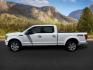 2020 Star White Metallic Tri-Coat /Black Ford F-150 (1FTFW1E48LF) with an EcoBoost 35L V-6 portdirect injection engine, Automatic transmission, located at 1175 N Woodruff Ave, Idaho Falls, ID, 83401, 43.506901, -111.999657 - At Timberline Auto, finding a great deal on your next vehicle is always easy! Our experienced sales staff's goal is to help find you the right vehicle at the right price! Our knowledgeable finance department has options for almost any credit score. We offer extended service contract options to prote - Photo#1