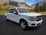 2020 Star White Metallic Tri-Coat /Black Ford F-150 (1FTFW1E48LF) with an EcoBoost 35L V-6 portdirect injection engine, Automatic transmission, located at 1175 N Woodruff Ave, Idaho Falls, ID, 83401, 43.506901, -111.999657 - At Timberline Auto, finding a great deal on your next vehicle is always easy! Our experienced sales staff's goal is to help find you the right vehicle at the right price! Our knowledgeable finance department has options for almost any credit score. We offer extended service contract options to prote - Photo#8