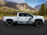 2020 Summit White /Jet Black Chevrolet Silverado 3500HD 4WD Crew Cab Standard Bed LTZ | 4WD Crew Cab Long Bed LTZ (1GC4YUEYXLF) with an Duramax 6.6L V-8 diesel direct injection engine, AUTOMATIC transmission, located at 1235 N Woodruff Ave., Idaho Falls, 83401, (208) 523-1053, 43.507172, -112.000488 - At Timberline Auto, finding a great deal on your next vehicle is always easy! Our experienced sales staff's goal is to help find you the right vehicle at the right price! Our knowledgeable finance department has options for almost any credit score. We offer extended service contract options to prote - Photo#0