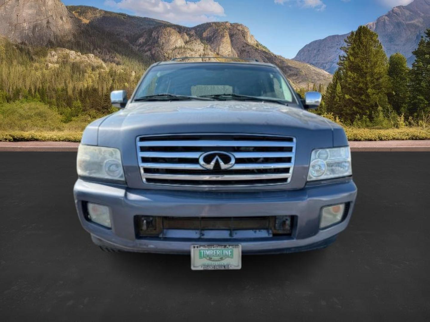 2005 SILVER /CLOTH Infiniti QX56 (5N3AA08C45N) with an 56 engine, Automatic transmission, located at 1175 N Woodruff Ave, Idaho Falls, ID, 83401, 43.506901, -111.999657 - Photo#10
