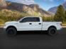 2013 Oxford White /Steel Gray Ford F-150 (1FTFW1EF4DF) with an 5L V-8 DOHC engine, Automatic transmission, located at 1175 N Woodruff Ave, Idaho Falls, ID, 83401, 43.506901, -111.999657 - At Timberline Auto, finding a great deal on your next vehicle is always easy! Our experienced sales staff's goal is to help find you the right vehicle at the right price! Our knowledgeable finance department has options for almost any credit score. We offer extended service contract options to prote - Photo#0