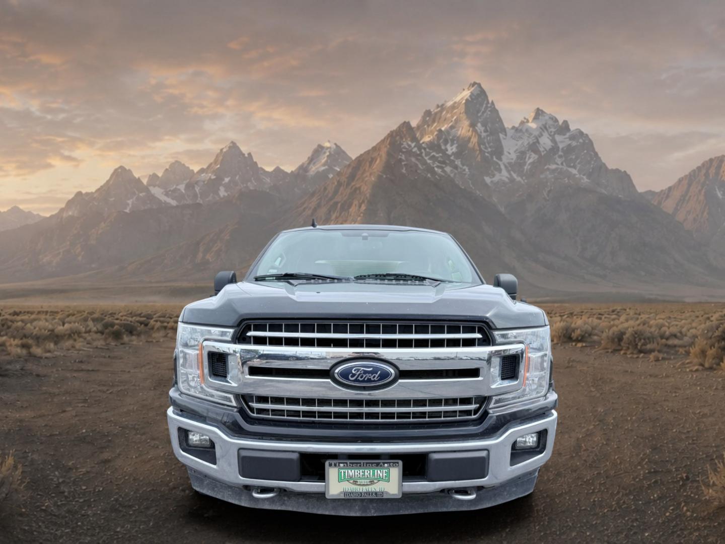 2020 Agate Black Metallic /Medium Light Camel Ford F-150 XLT (1FTEW1E51LK) with an V8, 5.0L engine, AUTOMATIC transmission, located at 1175 N Woodruff Ave, Idaho Falls, ID, 83401, 43.506901, -111.999657 - <b>Vehicle Details</b><br>Looking for a capable full-size pickup with proven power and premium comfort? This pre-owned 2020 Ford F-150 XLT 4WD is ready for your next job, road trip, or weekend adventure in Idaho Falls, ID. Powered by a V8, 5.0L Gasoline/E85 engine, this Ford F-150 delivers strong pe- Photo#6