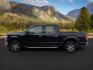 2020 Agate Black Metallic /Medium Earth Gray Ford F-150 (1FTEW1E51LK) with an 5L V-8 portdirect injection engine, Automatic transmission, located at 1175 N Woodruff Ave, Idaho Falls, ID, 83401, 43.506901, -111.999657 - At Timberline Auto, finding a great deal on your next vehicle is always easy! Our experienced sales staff's goal is to help find you the right vehicle at the right price! Our knowledgeable finance department has options for almost any credit score. We offer extended service contract options to prote - Photo#1
