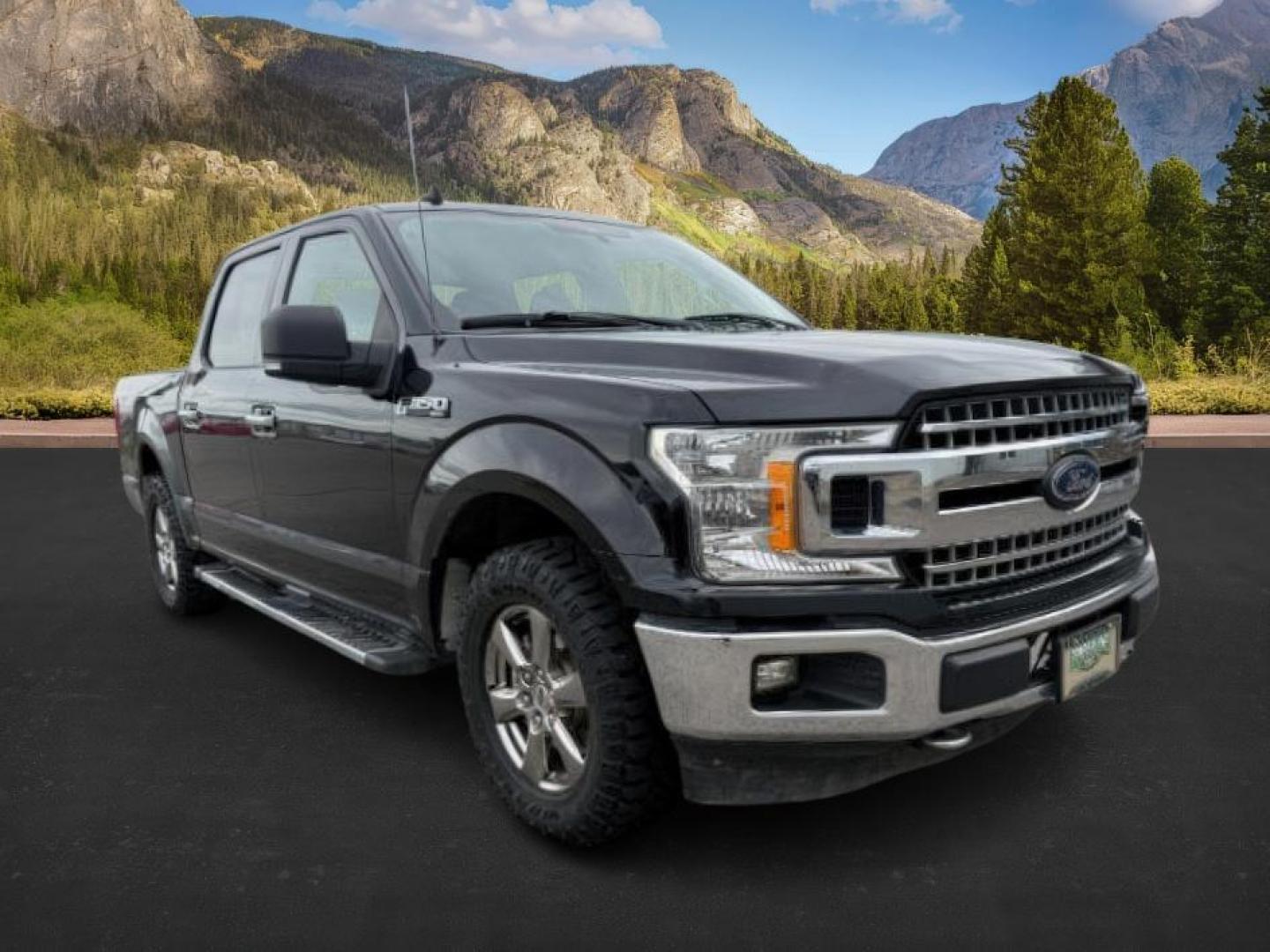 2020 Agate Black Metallic /Medium Earth Gray Ford F-150 (1FTEW1E51LK) with an 5L V-8 portdirect injection engine, Automatic transmission, located at 1175 N Woodruff Ave, Idaho Falls, ID, 83401, 43.506901, -111.999657 - At Timberline Auto, finding a great deal on your next vehicle is always easy! Our experienced sales staff's goal is to help find you the right vehicle at the right price! Our knowledgeable finance department has options for almost any credit score. We offer extended service contract options to prote - Photo#7